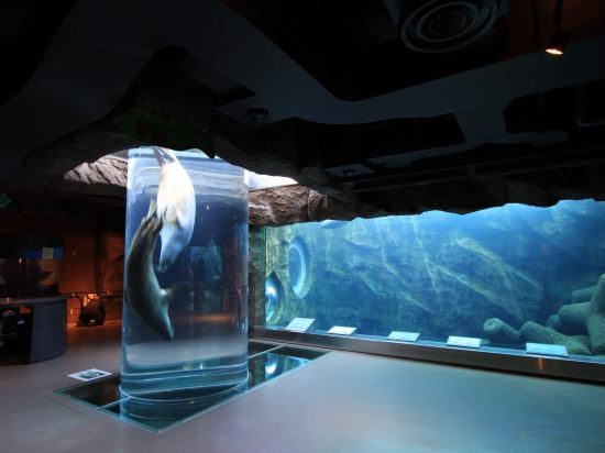 Фото Hotel Wing International Asahikawa Ekimae