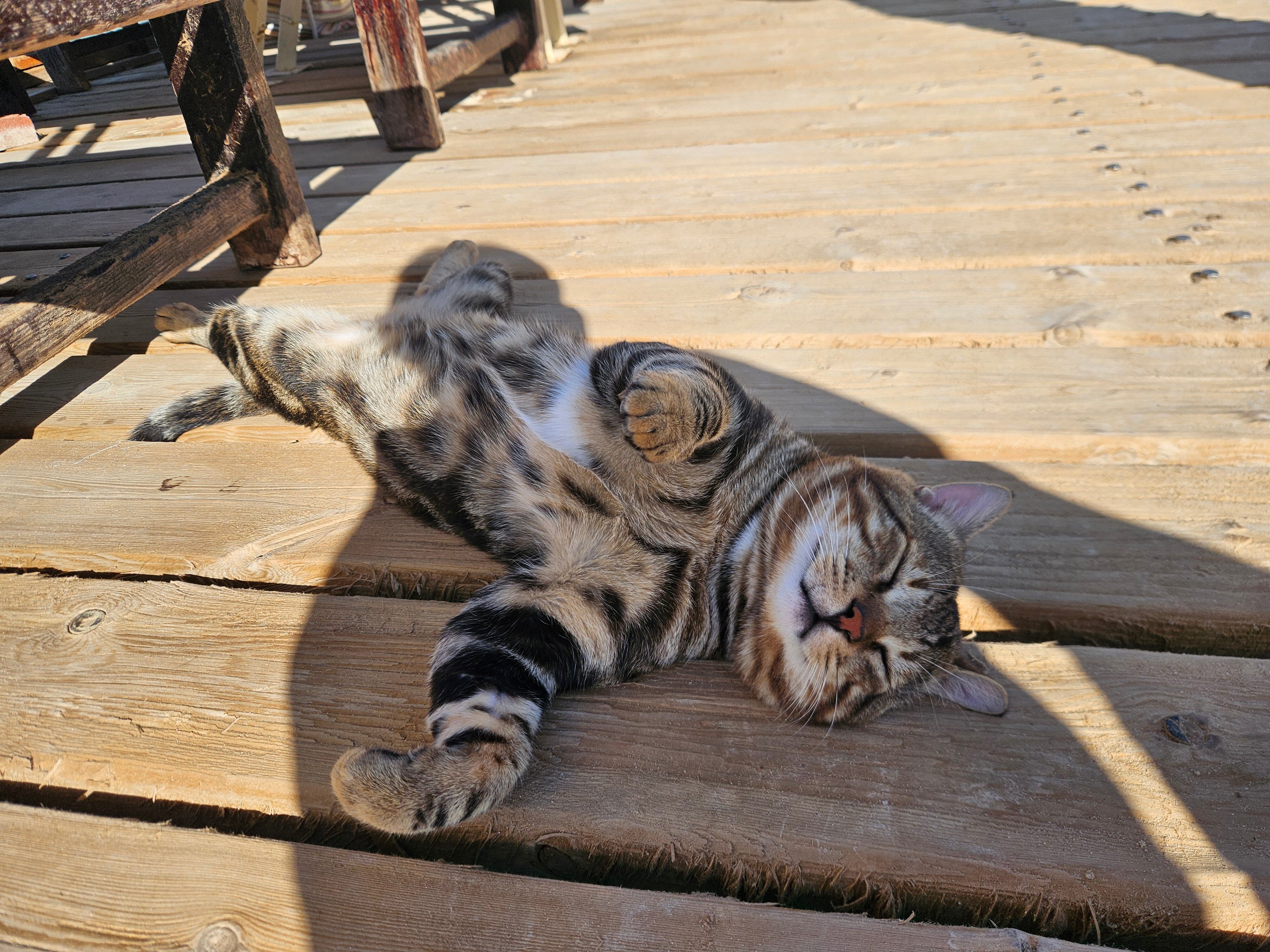 Фото Elysees Dream Beach Hotel