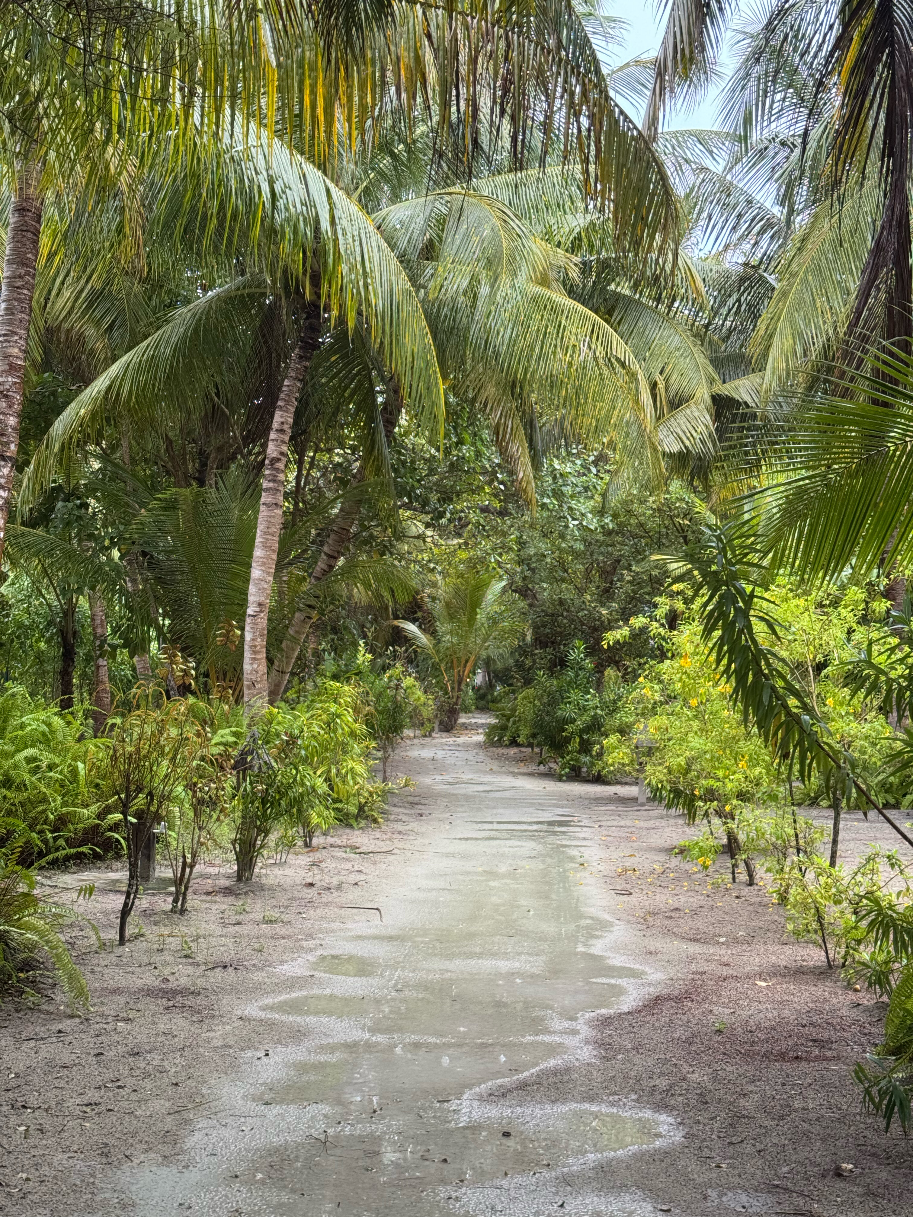 Фото The Barefoot Eco Hotel