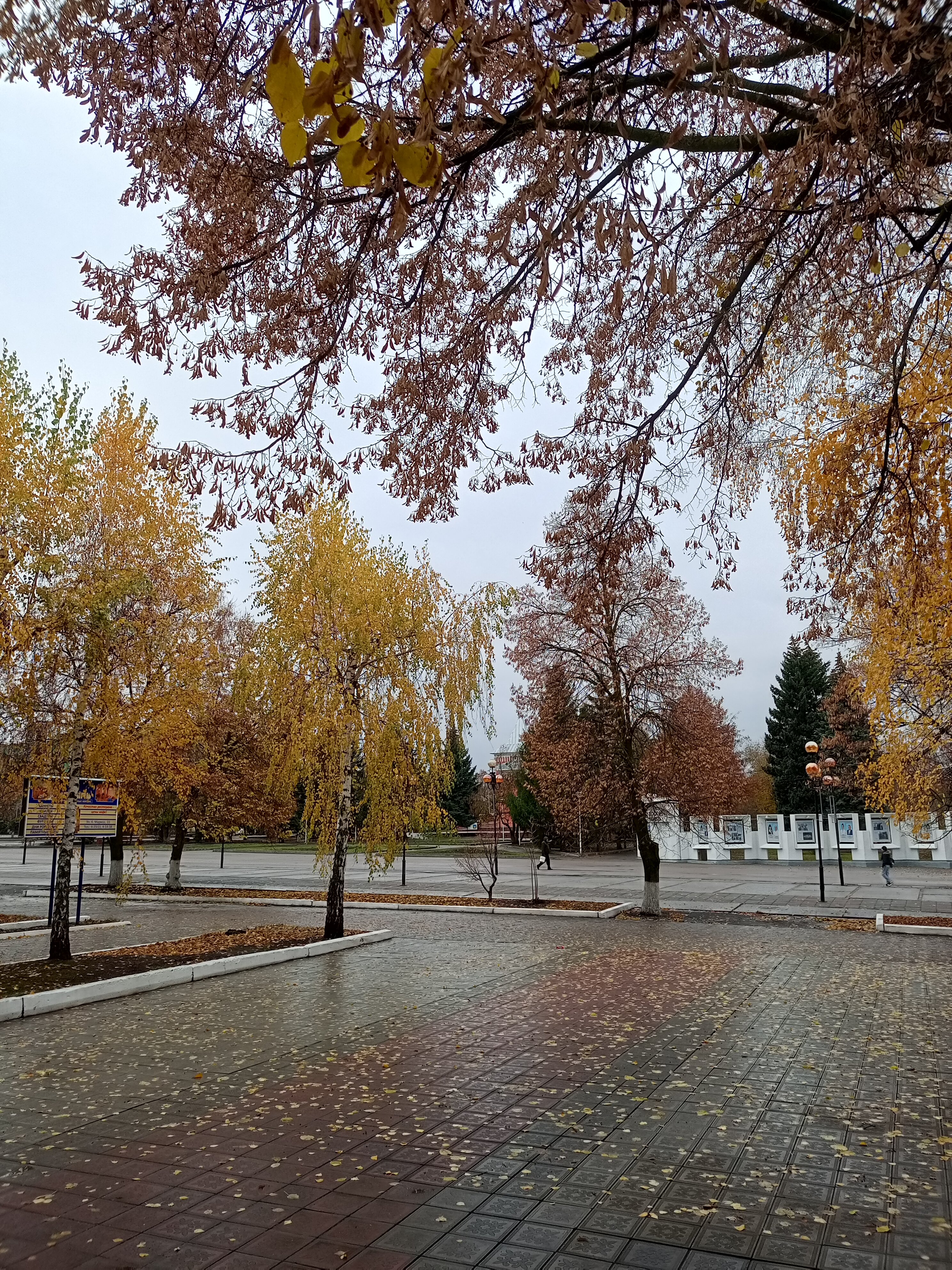 Фото Козырь