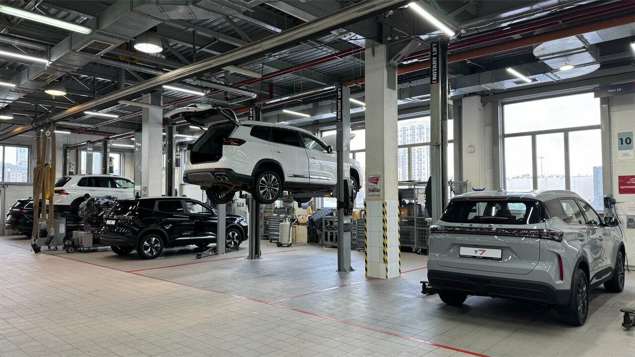 photo Медведь-Восток, Tenet