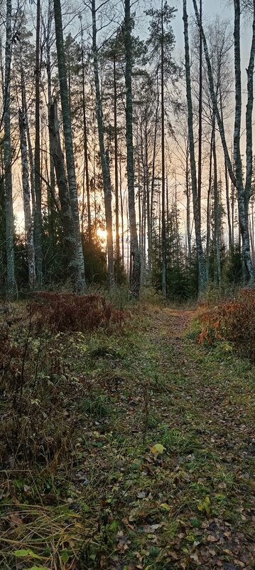 Горький Вилладж — фото 14