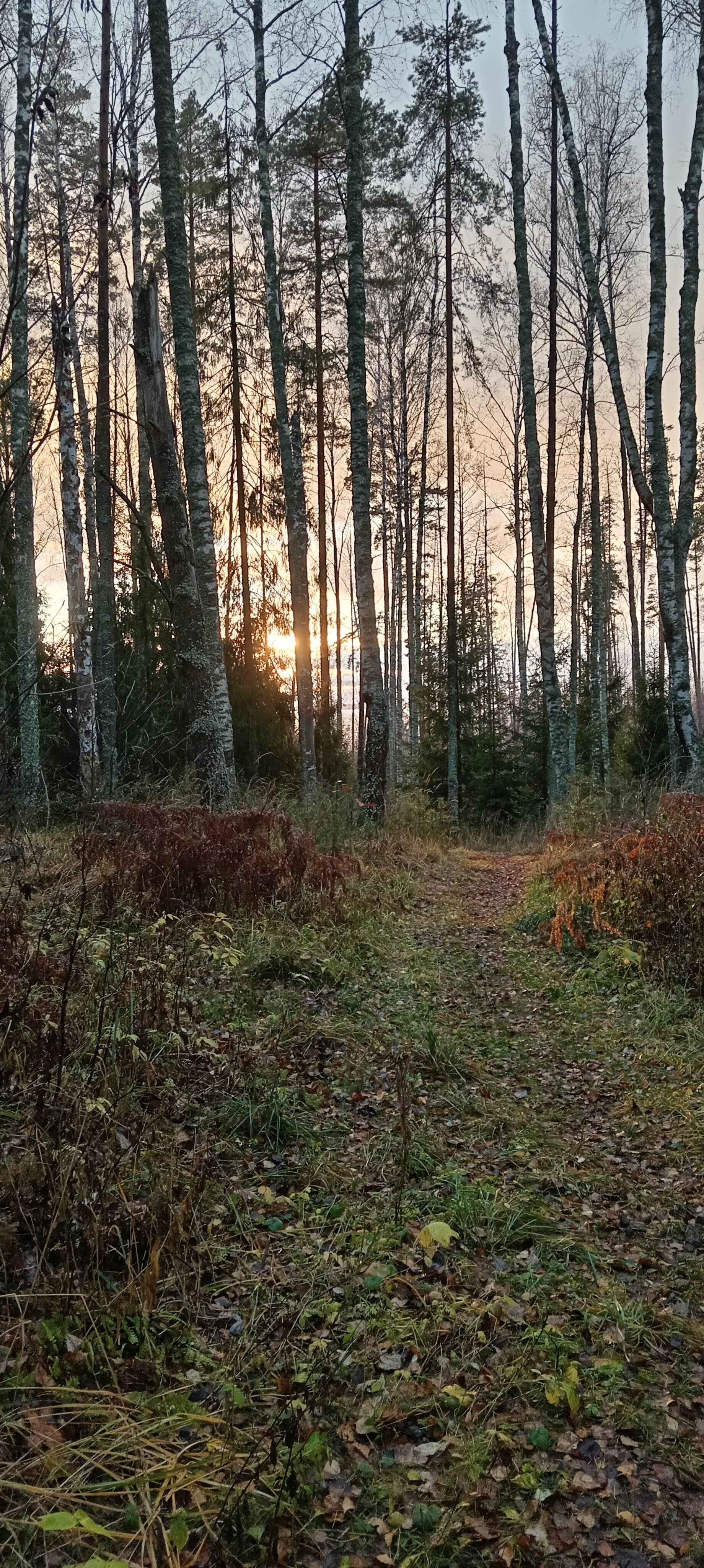 Фото Горький Виледж