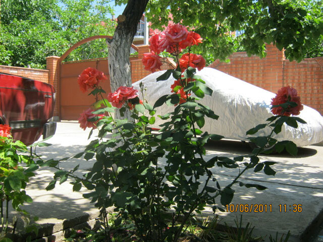 Фото Уютный дворик