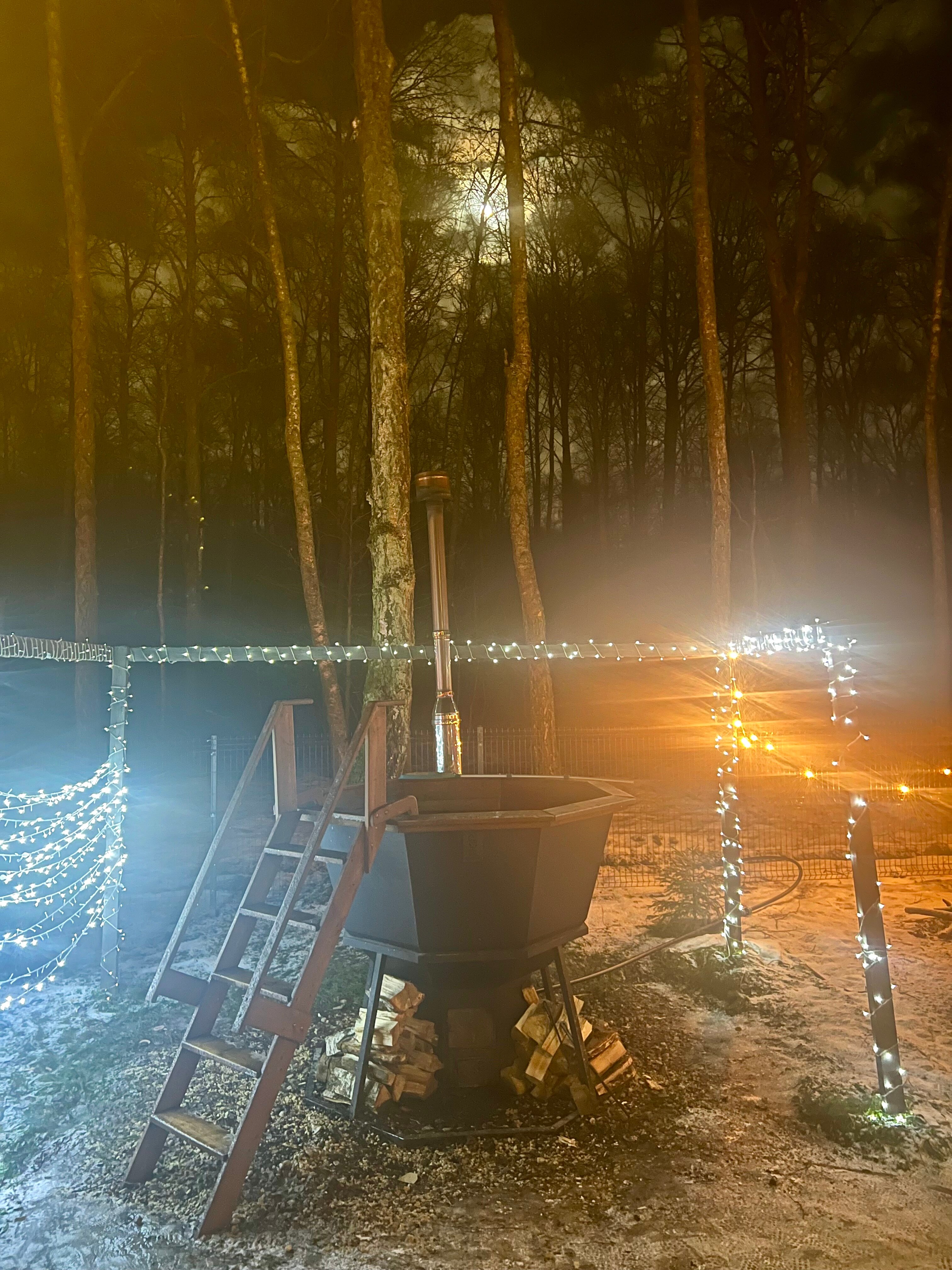 Фото Forest Glamp