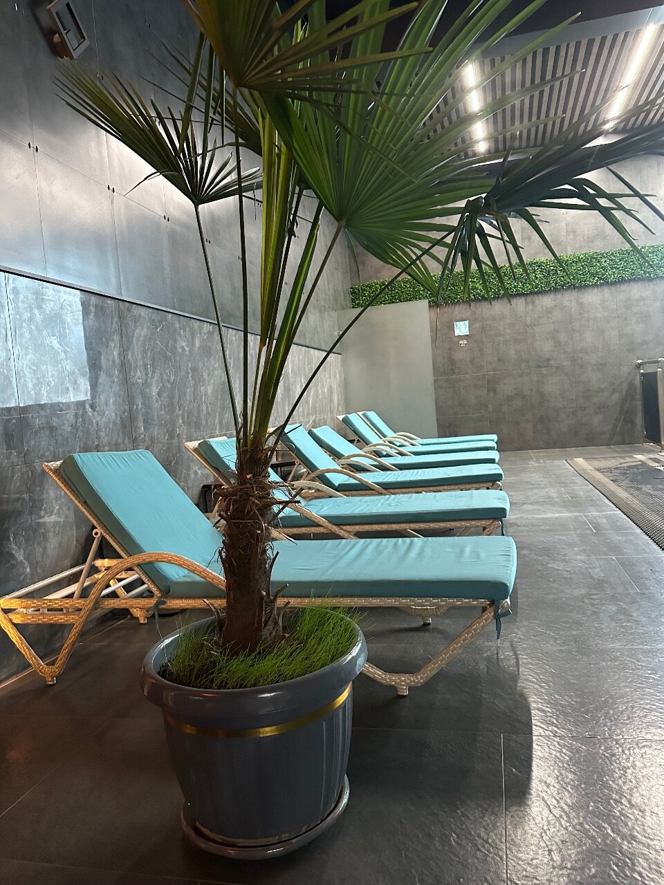 Фото Maxwell Hotel & SPA