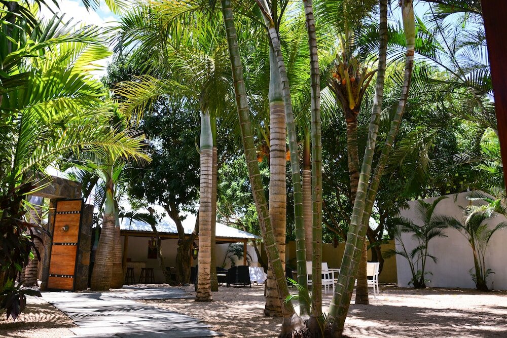 Фото La Margarita