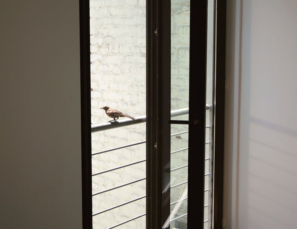 Фото Hotel Chelsea