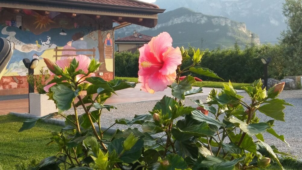 Фото Agriturismo Trefrutti