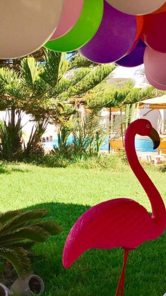 Фото Djerba Orient