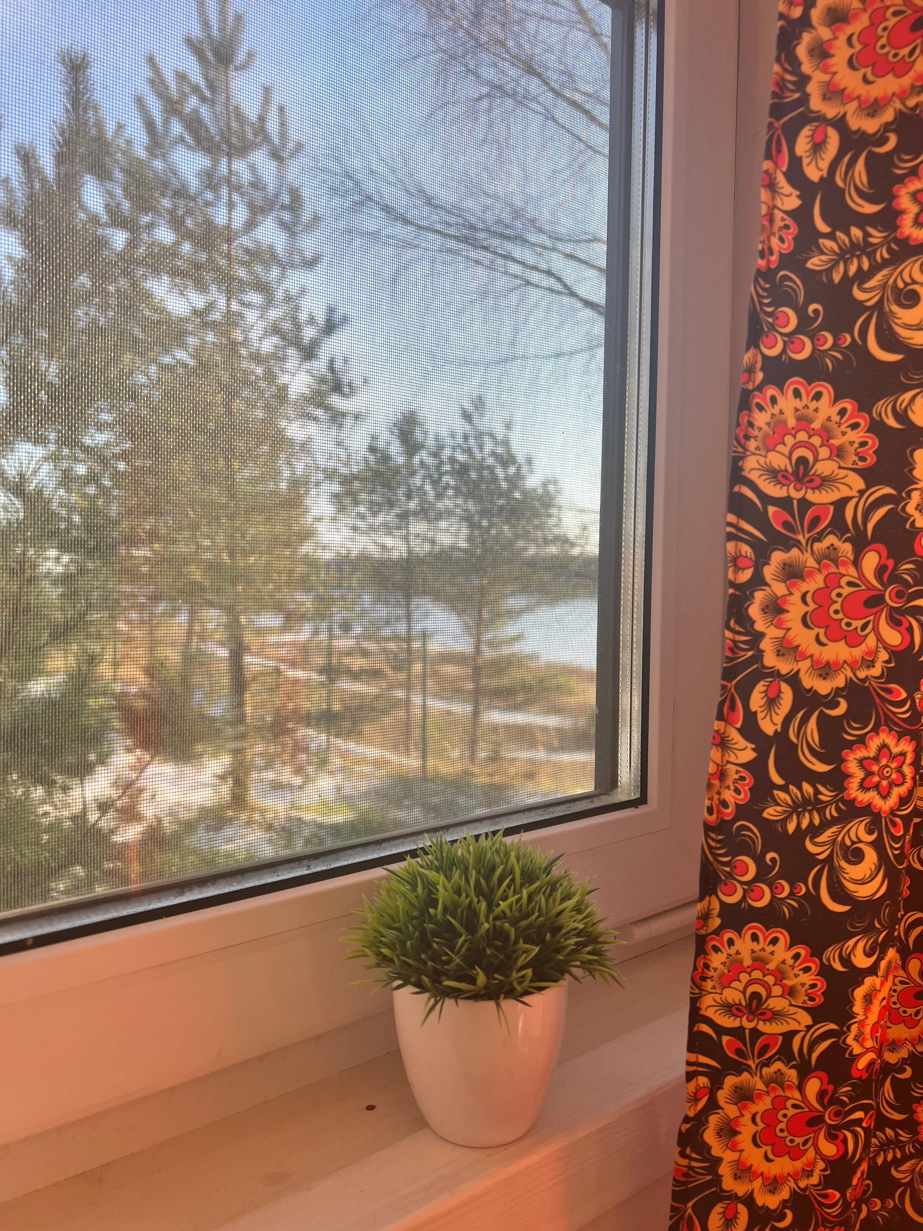 Фото Ладонь ветра