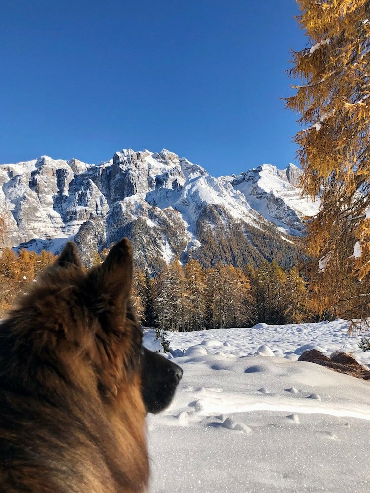 Фото Hotel Wanda