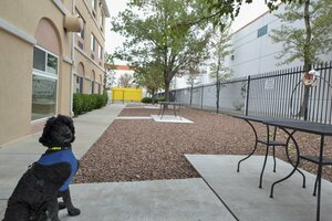 Гостиница Days Inn & Suites by Wyndham Airport Albuquerque