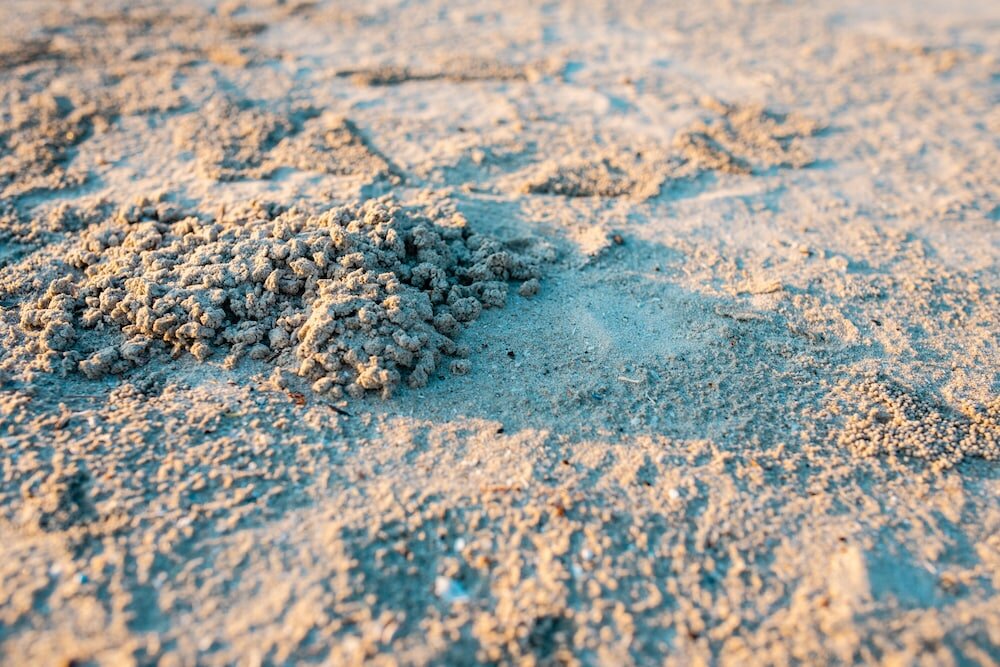 Фото Baansuan Aokhai Beach Resort