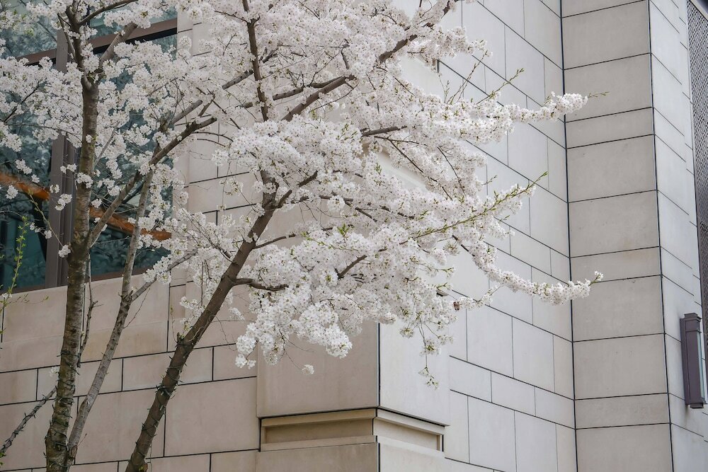 Фото Midtown Shangri-La, Hangzhou