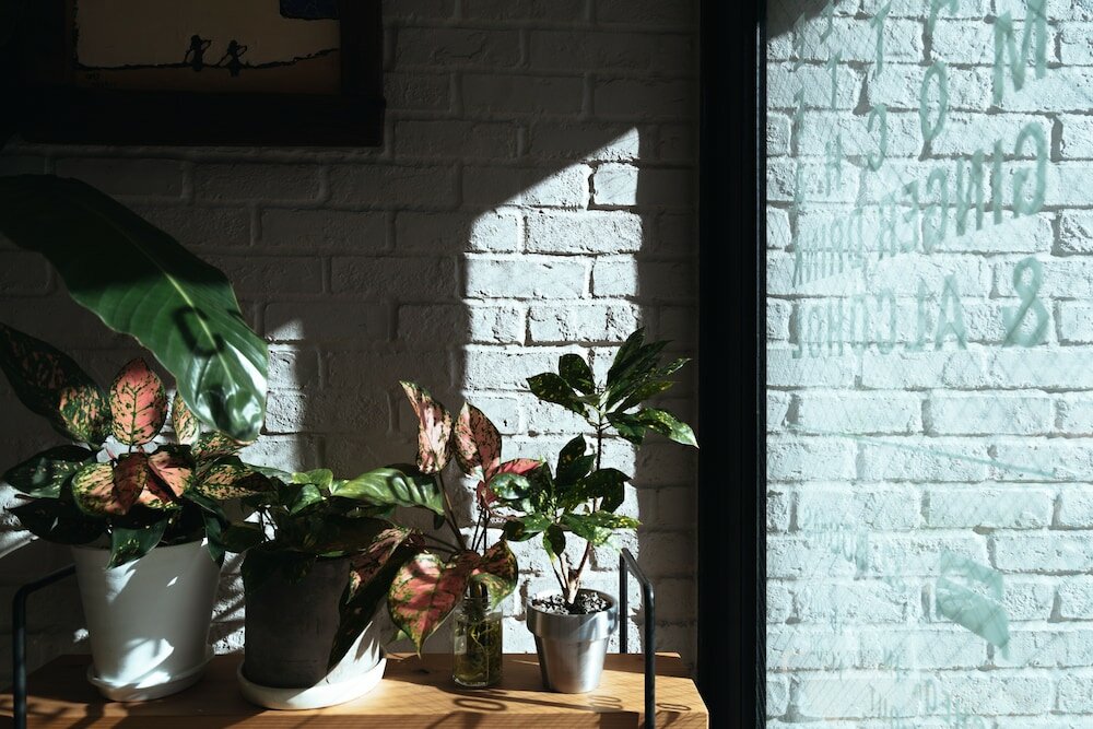 Фото Hotel Pacific 