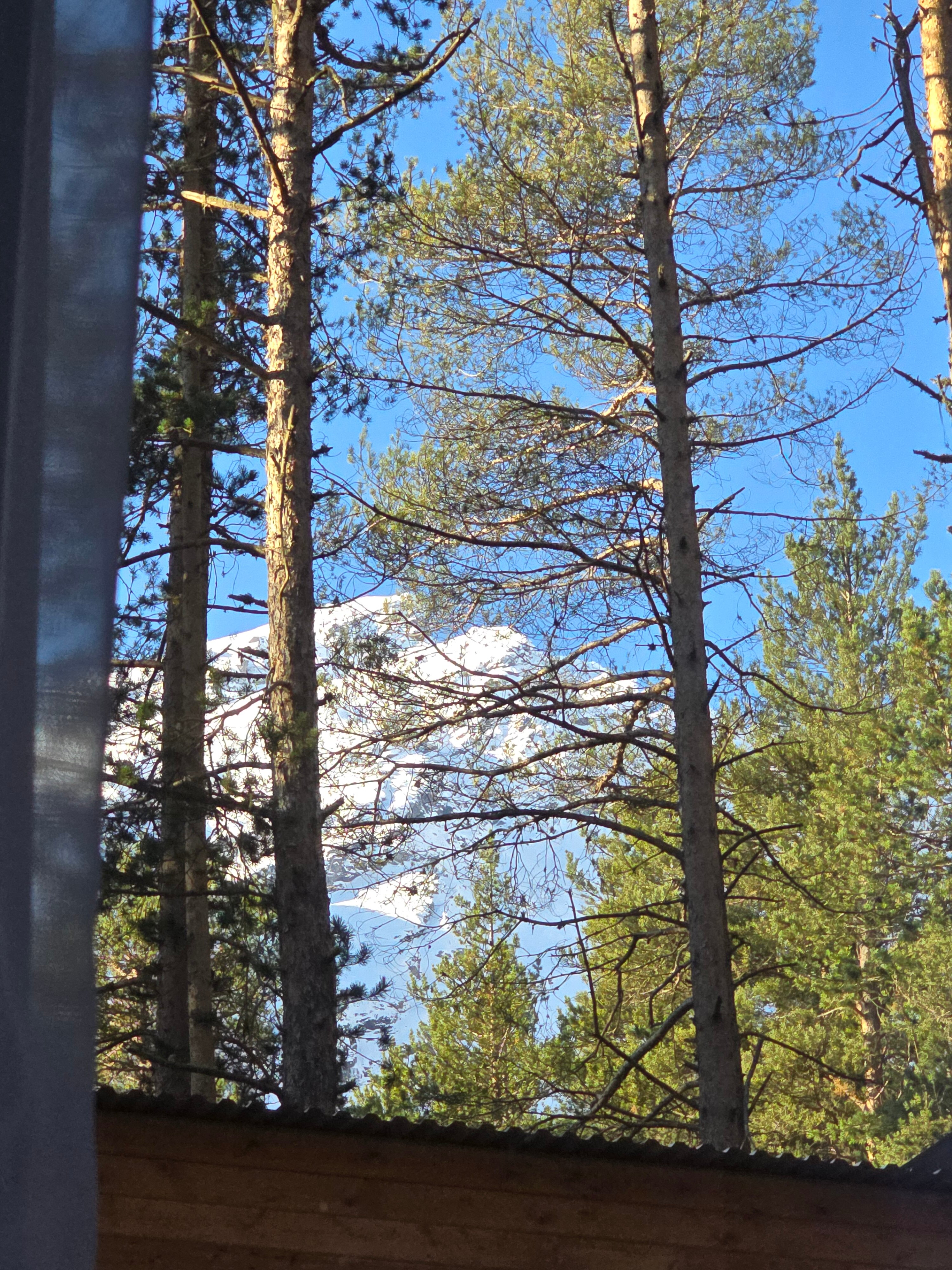 Фото 103888743761