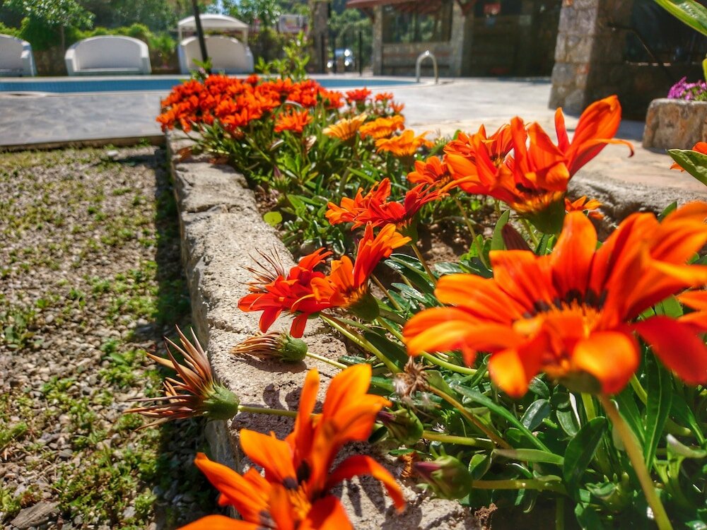 Фото Ata Lagoon Beach Hotel