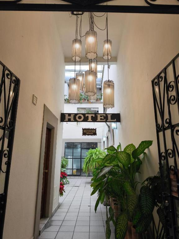 Фото Hotel Casa Morena