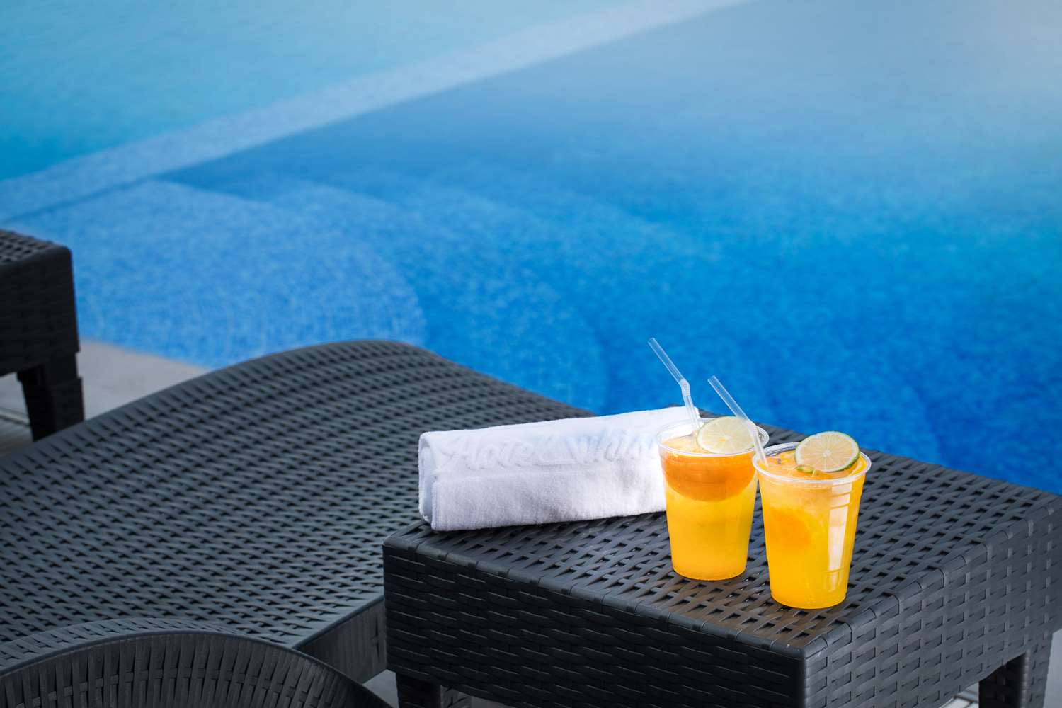 Фото Whistle Lark