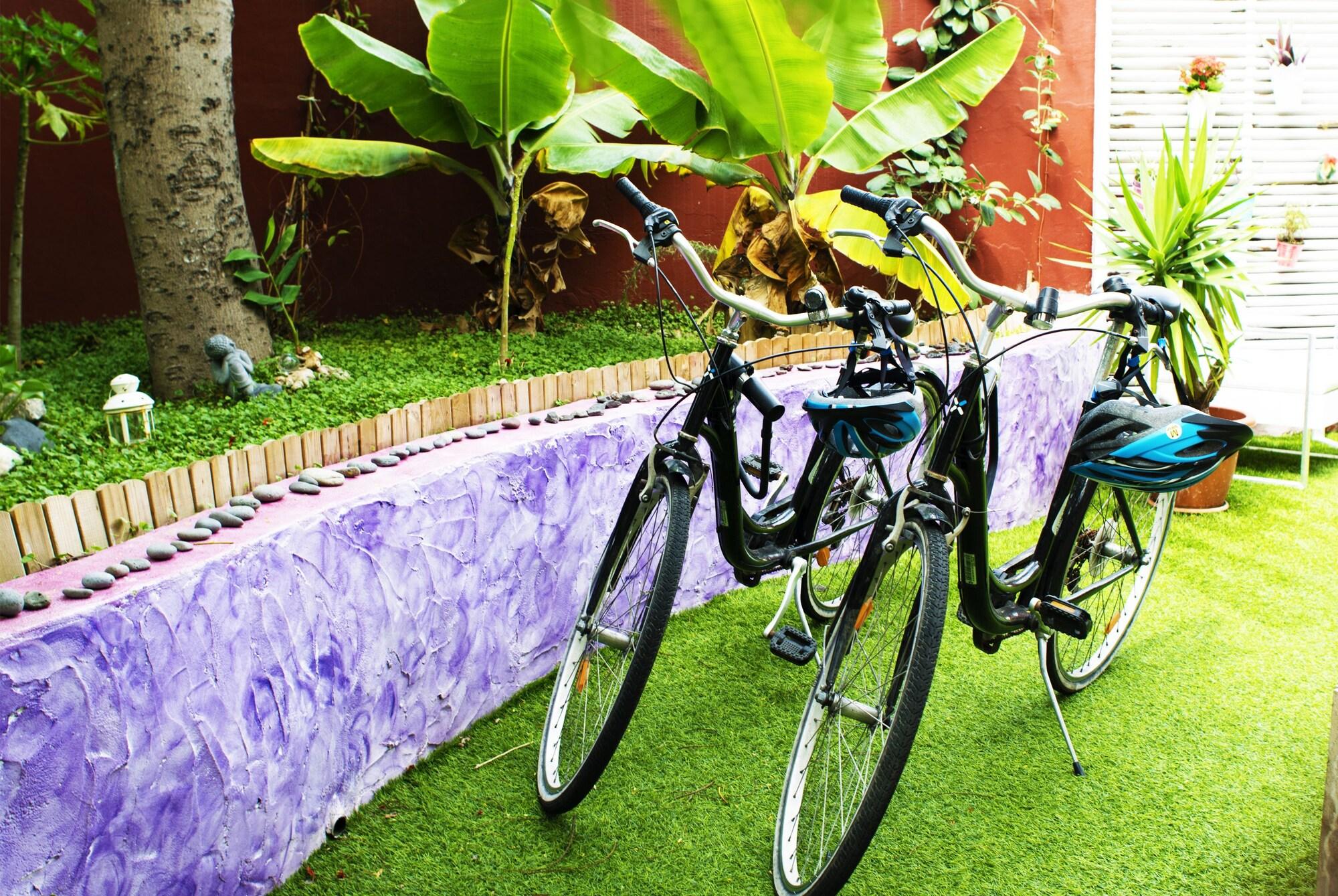 Фото Guesthouse Katanka