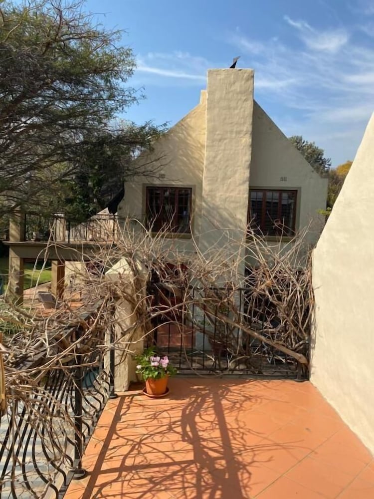 Фото Tuscan Rose