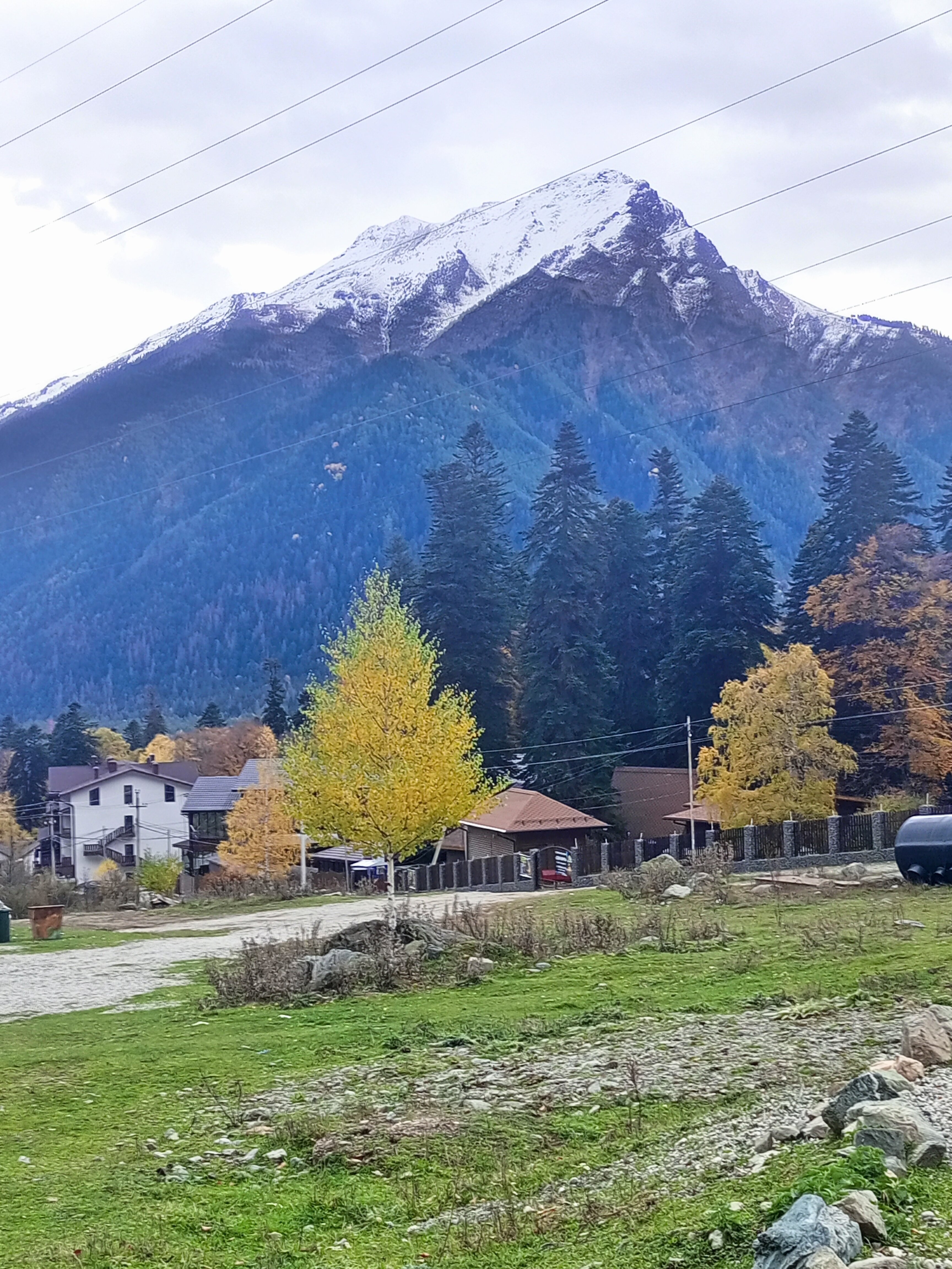 Фото Горный родник