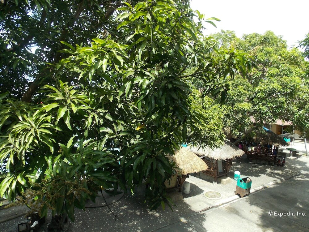 Фото Caribbean Waterpark and Resotel