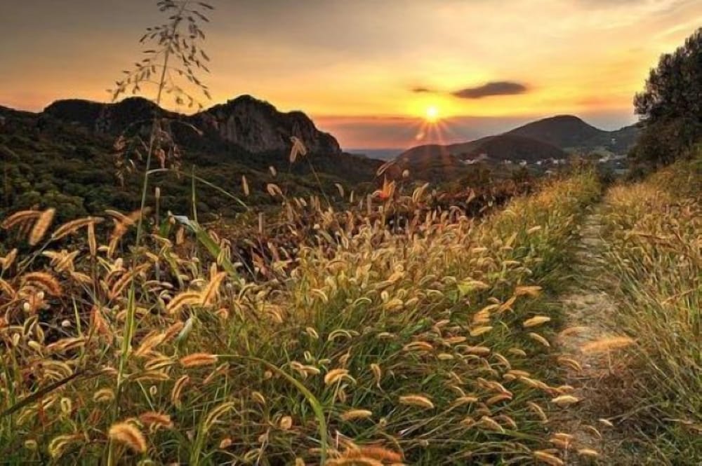 Фото Four Points by Sheraton Padova