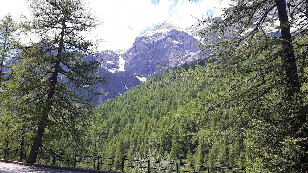 Фото Hotel Chalet Valdotain