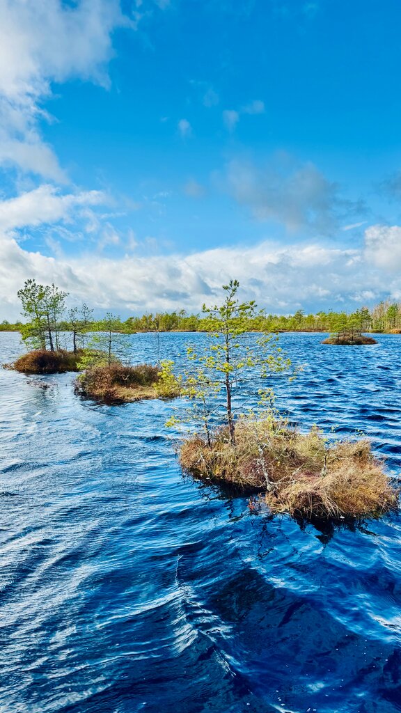Observation deck Observation deck, Vitebsk District, photo