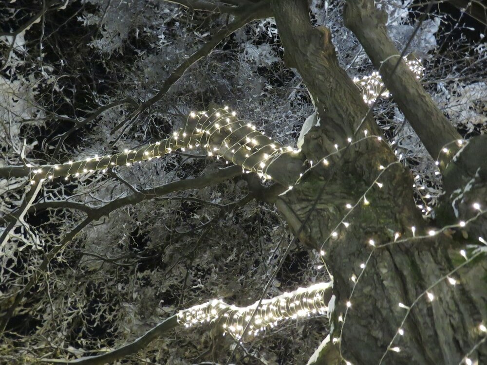 Фото Hotel Villa Boyana