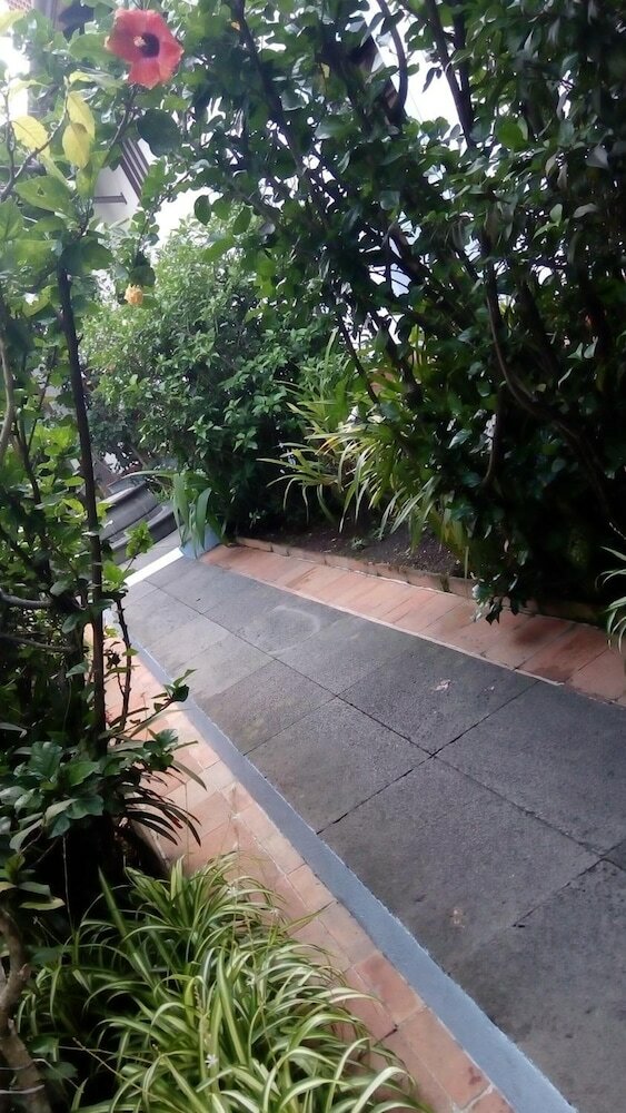 Фото Meson del Alferez Coatepec