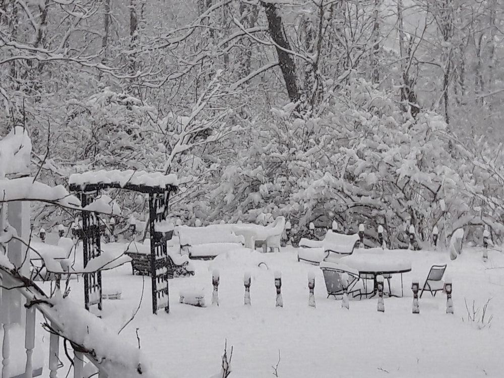 Фото The Proctor Mansion Inn