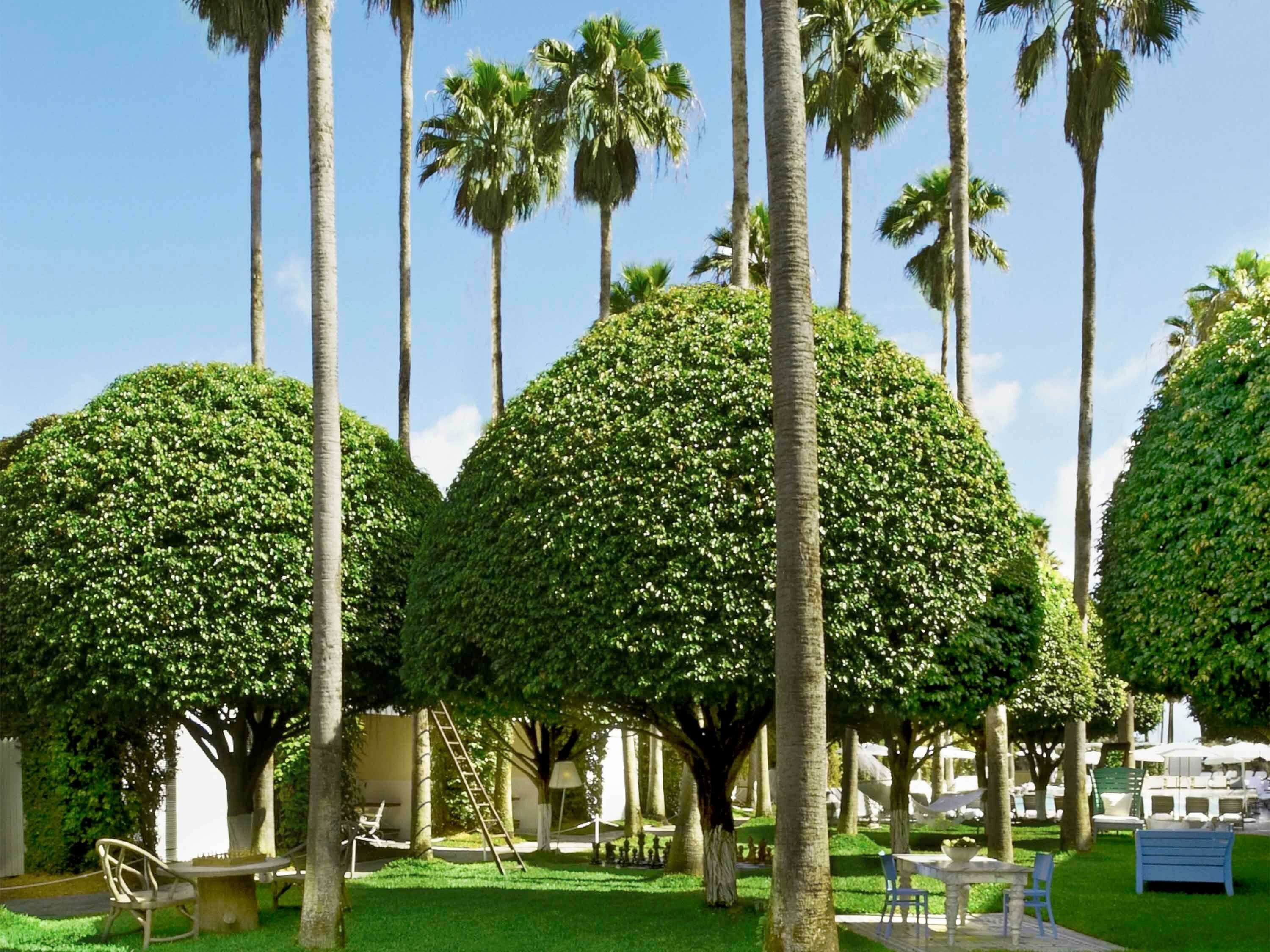 Фото Delano South Beach