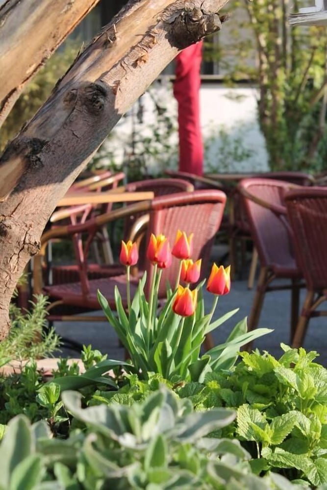 Фото Hotel Kölner Hof Refrath