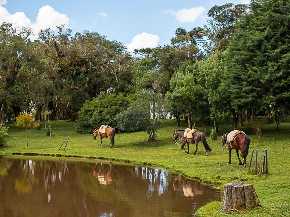 Фото Aires de Patagônia Pousada