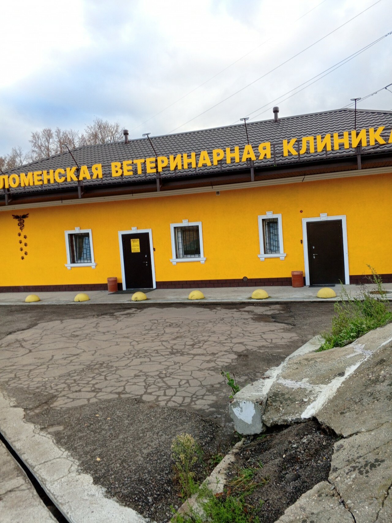 Коломенская Ветеринарная клиника - фото 20