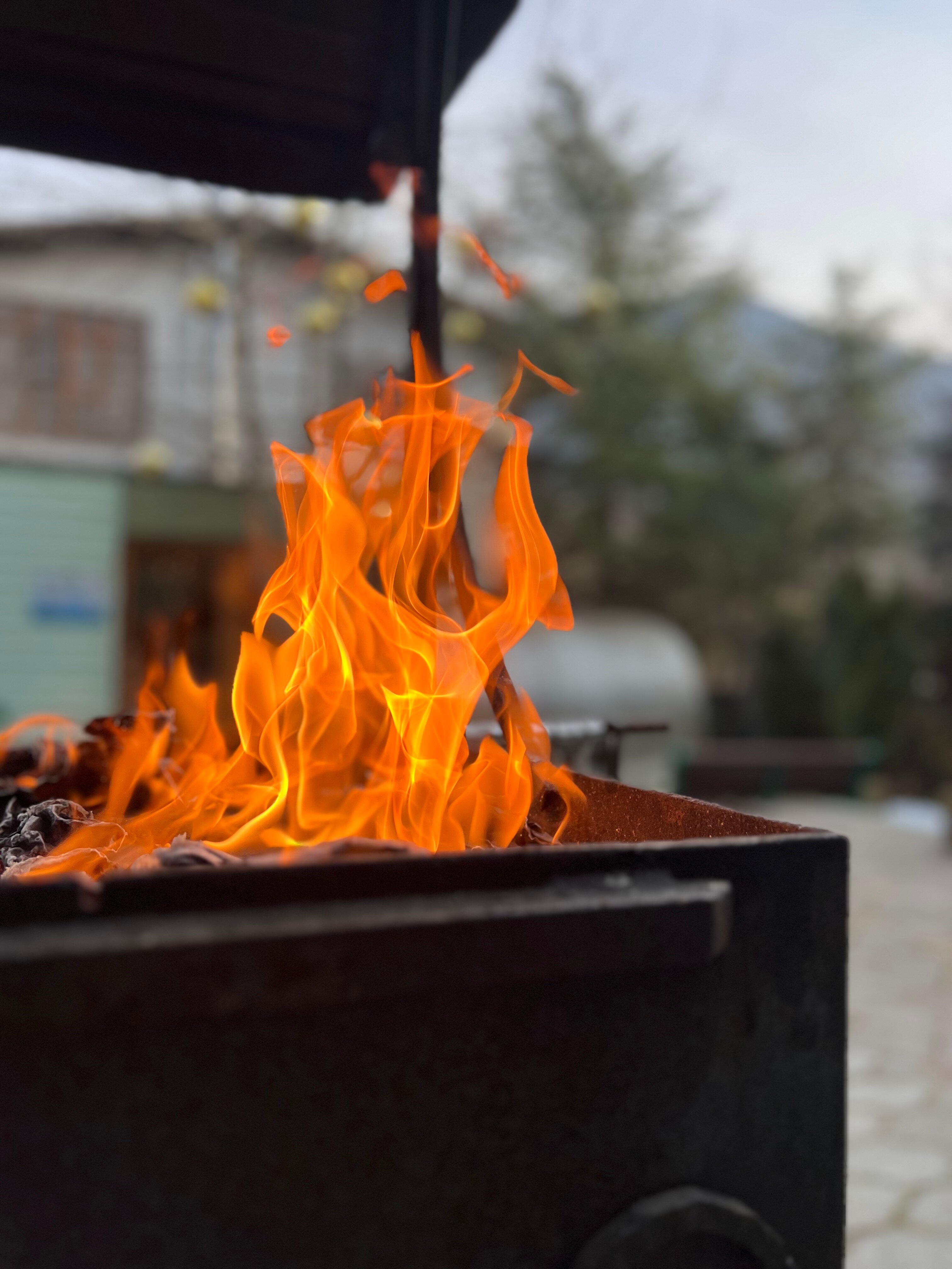 Фото Green House