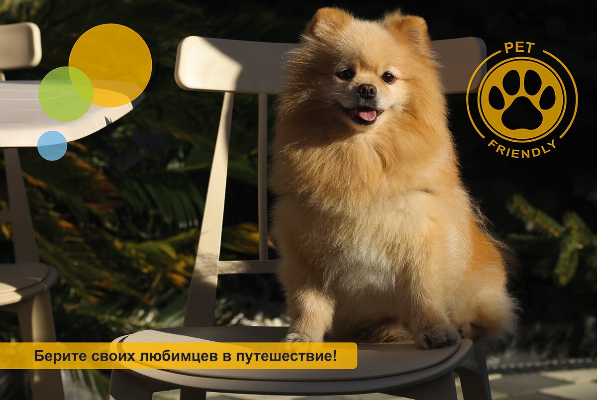 Фото Cosmos Smart Sochi Tivoli Hotel