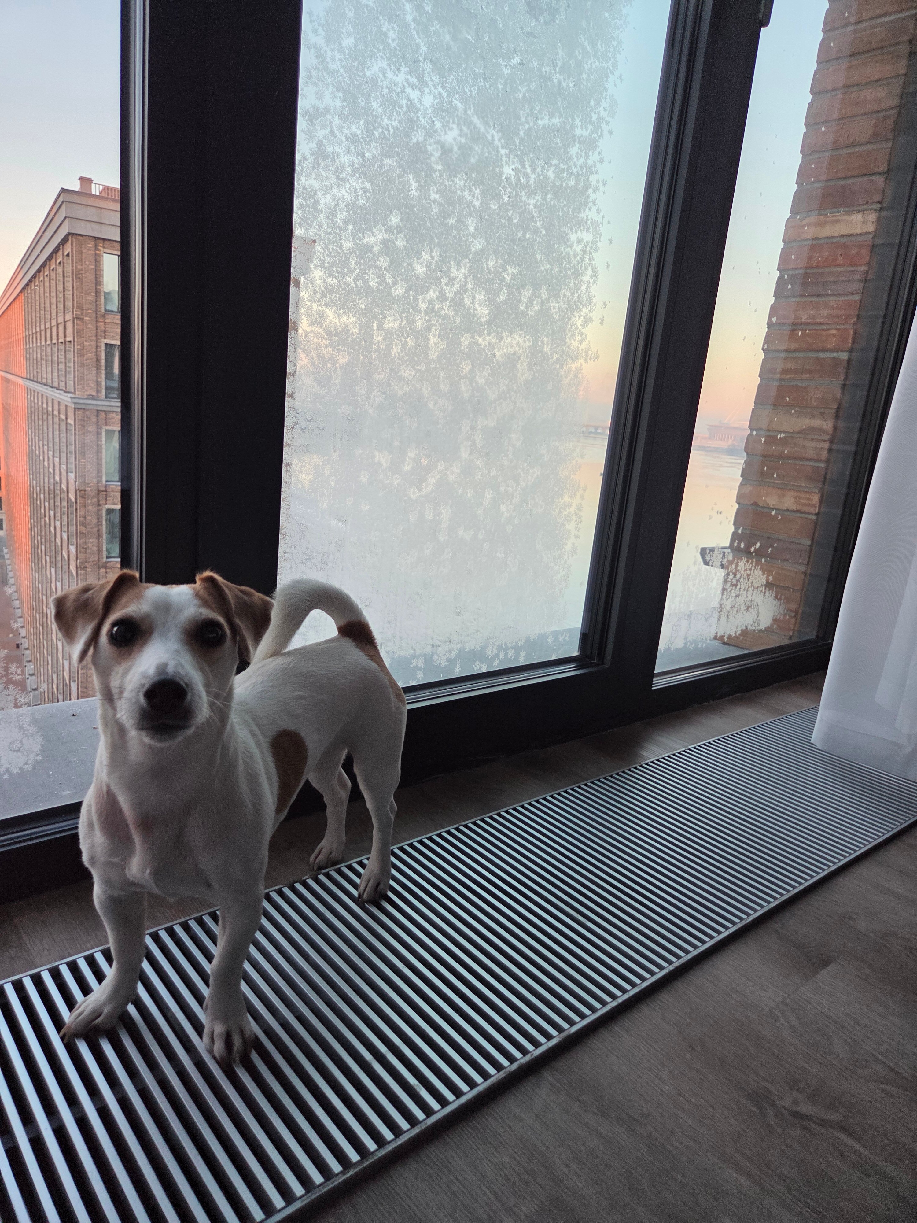 Фото SV Loft Apart 2