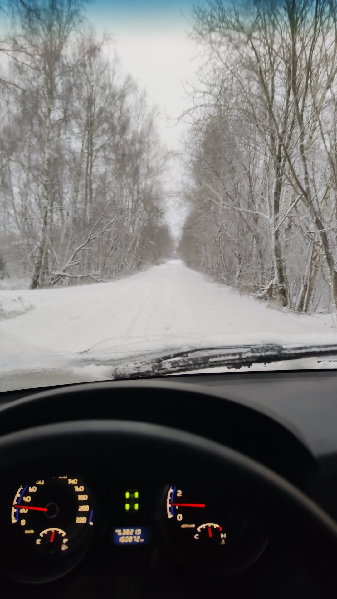 Фото Эко Дуб