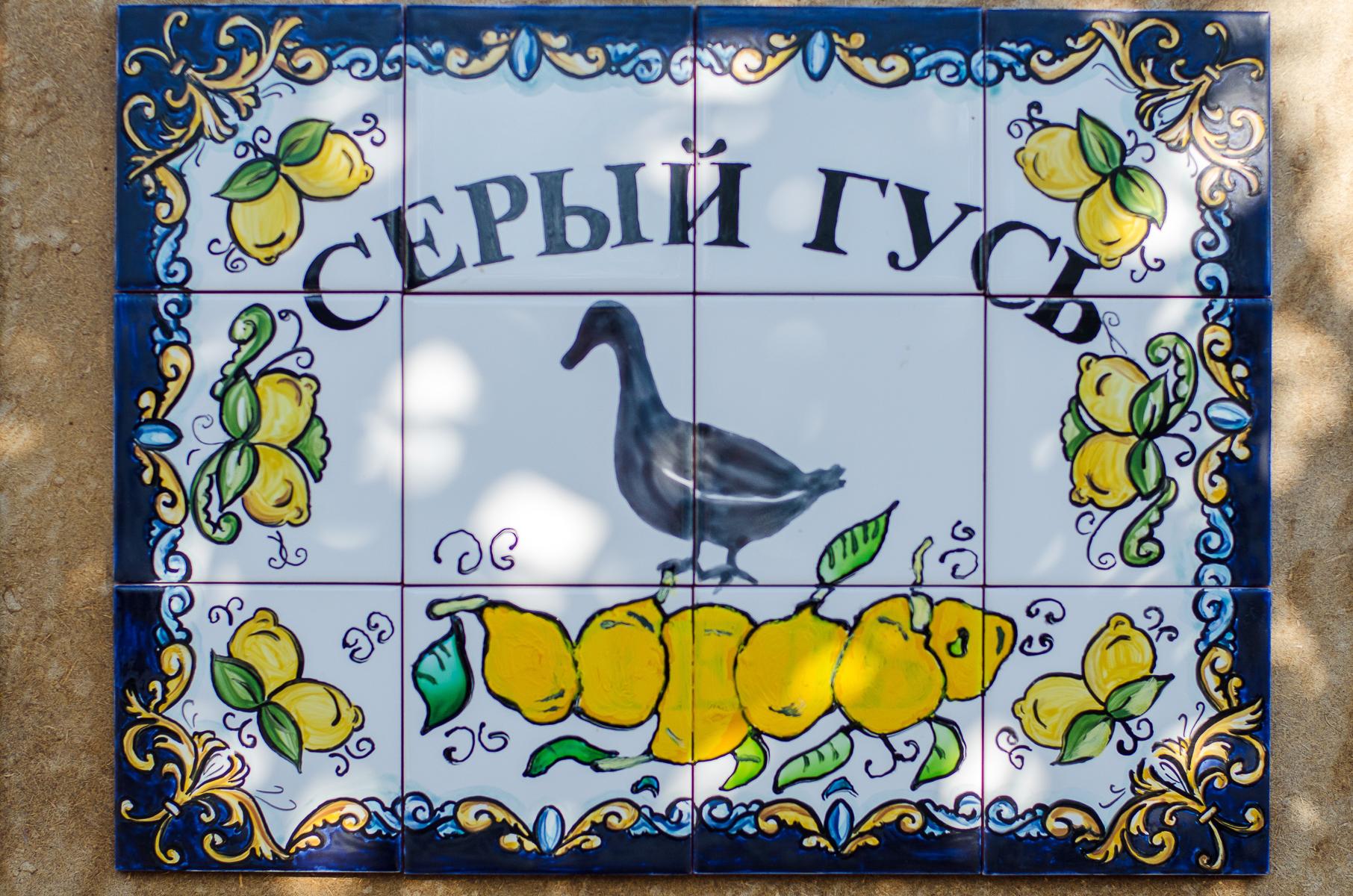 Фото Серый гусь