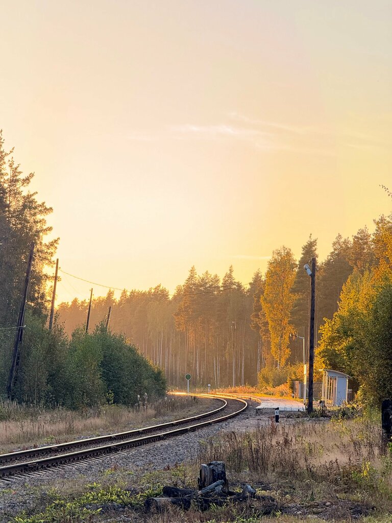 Train station Uškovon rautatielaituri, Saint Petersburg, photo