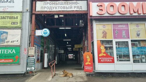 Ozarbayjon porno videolar