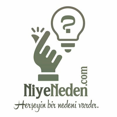 Accountancy courses Niye Neden, Aziziye, photo