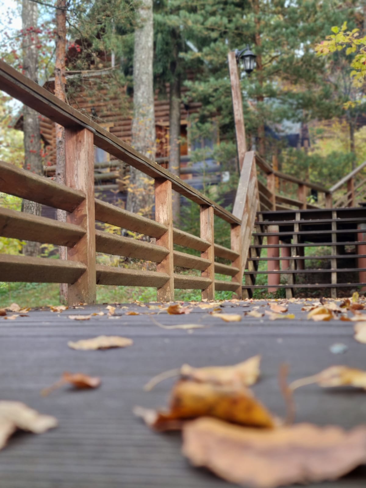 Фото Лада hotel