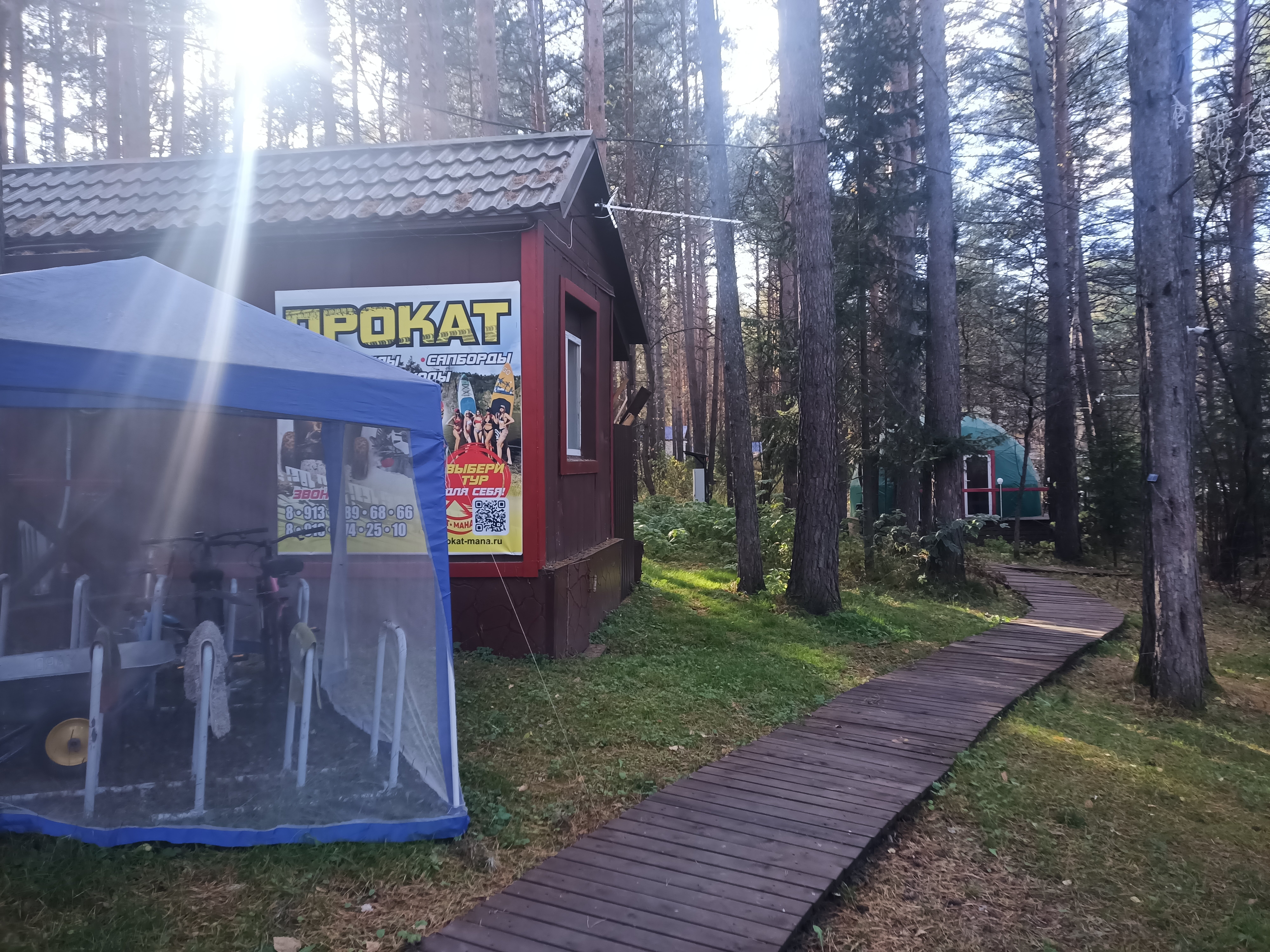 Фото Брусника