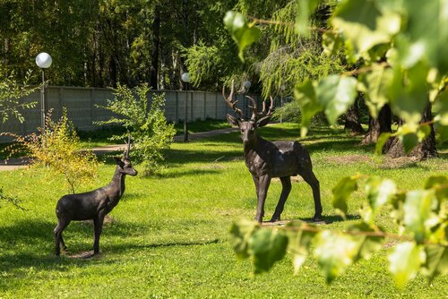 Дом отдыха Парк Сагаан Морин в Республике Бурятия