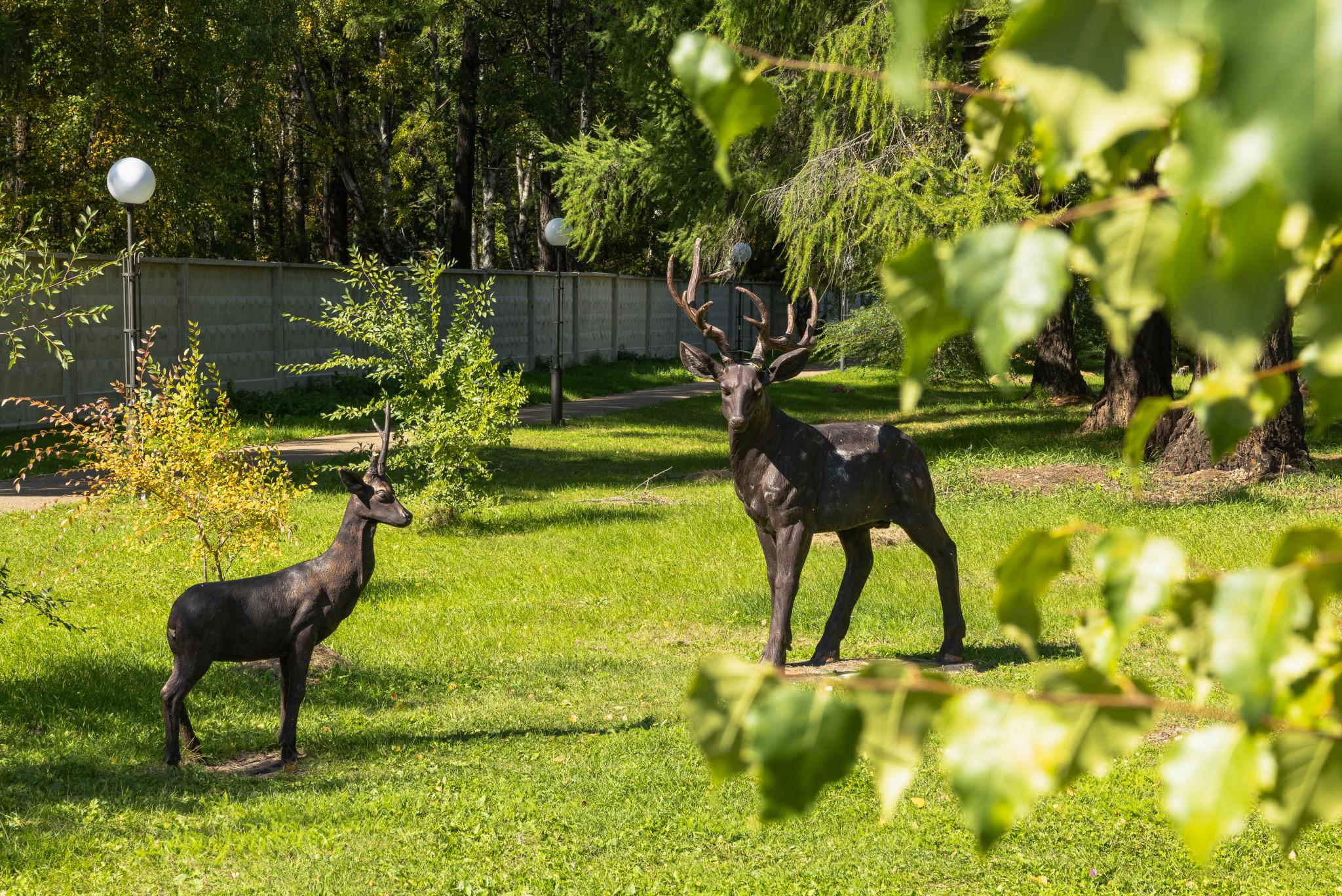 Фото Парк Сагаан Морин